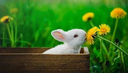 世俱杯赛况：巴萨逆境奋战，淘汰欧洲强队，巴萨世俱杯球衣