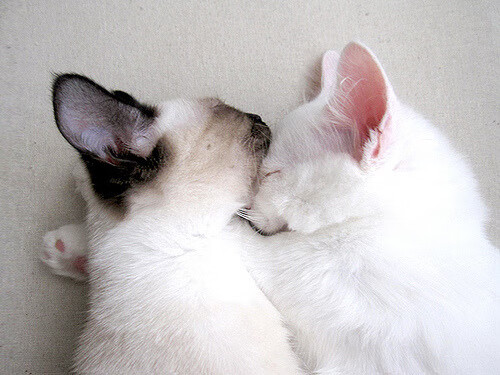 转换进攻节奏中传球路径选择技巧,转换进攻节奏中传球路径选择技巧包括