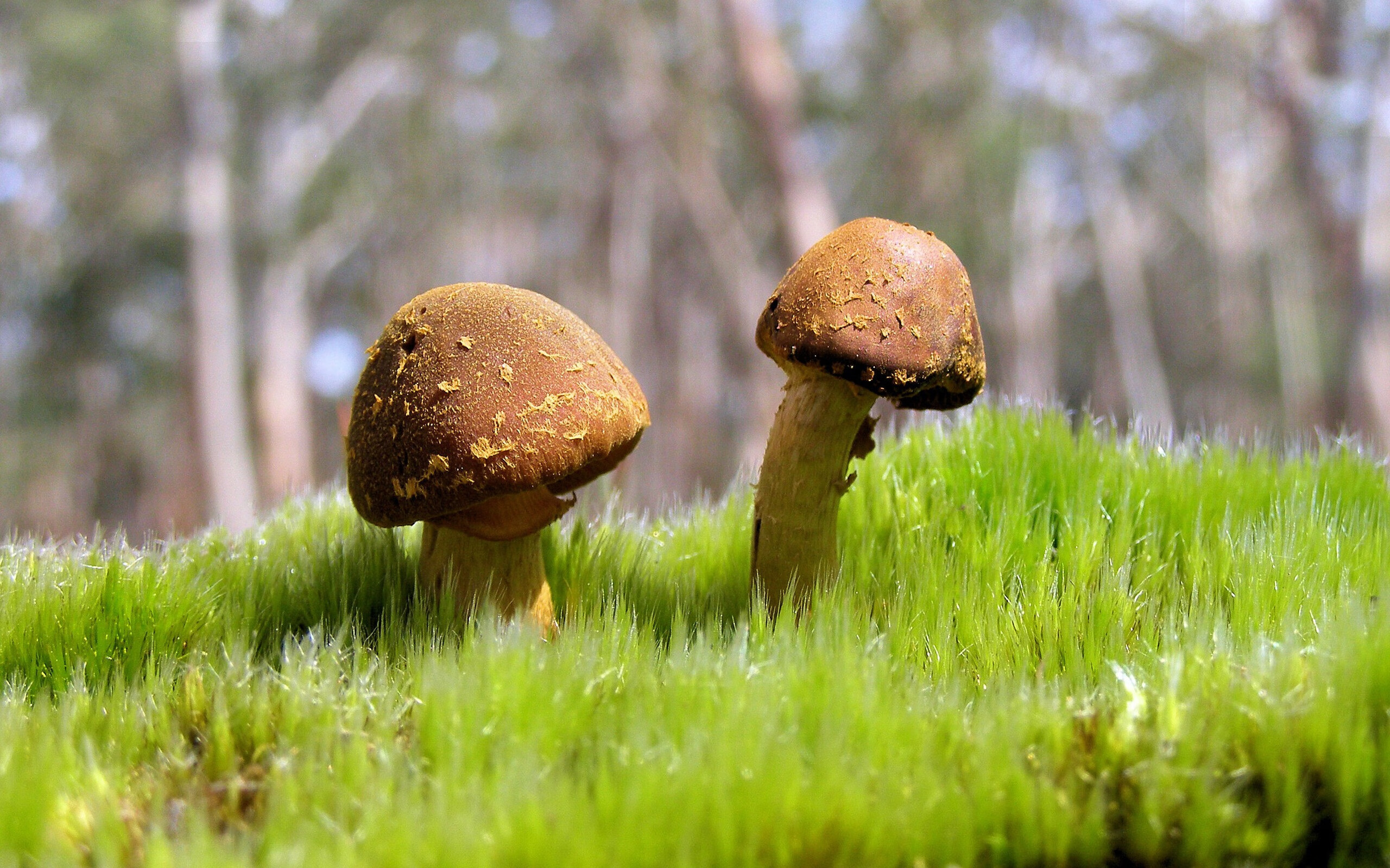 高校网球邀请赛赛程紧凑水平提升，2020高校大学生网球联赛