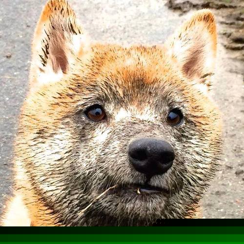 国字号球队积极参与国际热身赛提高实战经验,国家队热身赛时间